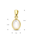 14K geelgoud hanger parelmoer 4028795 - PansiteNederland.nl