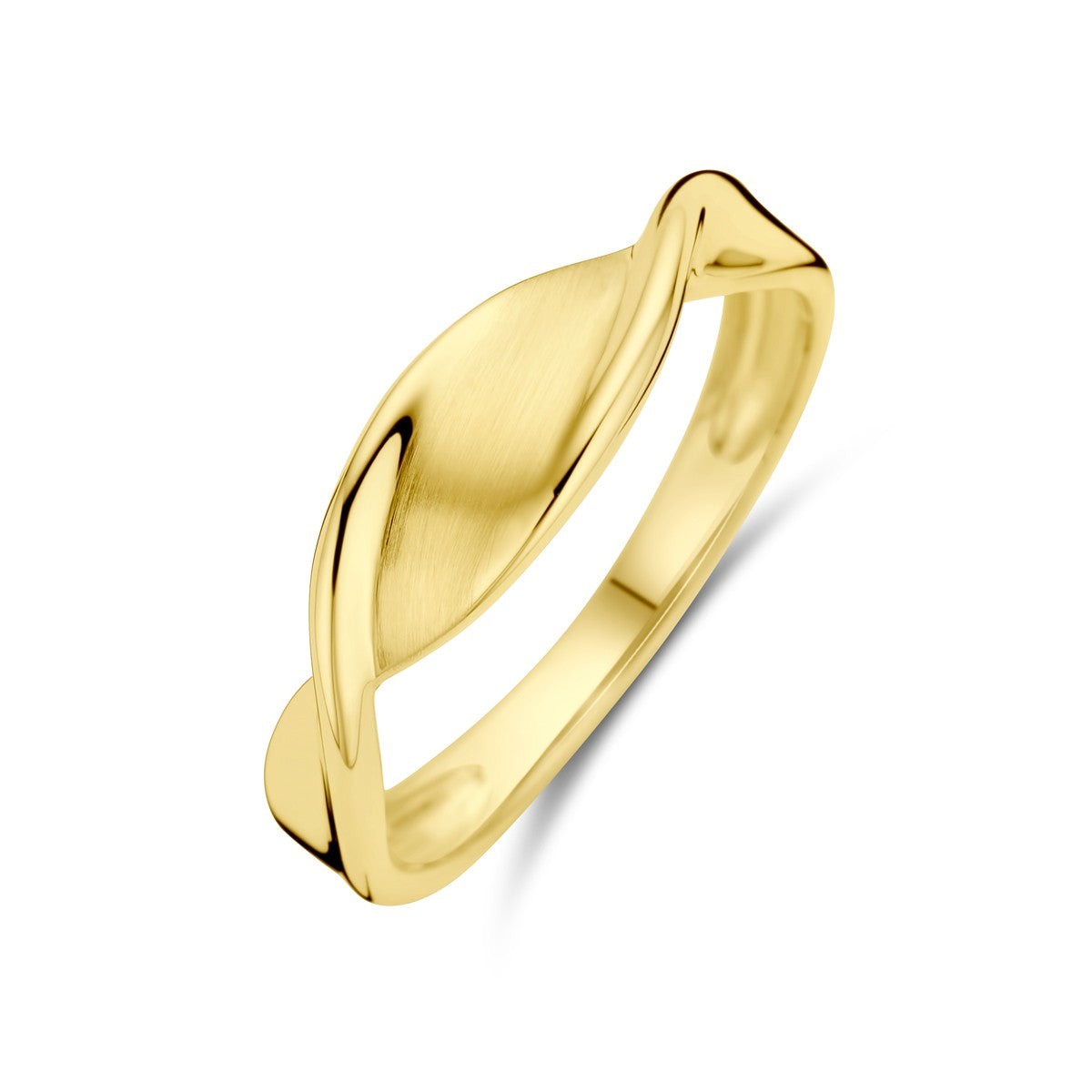 Fantasy Collection Ring poli/mat 14K geelgoud