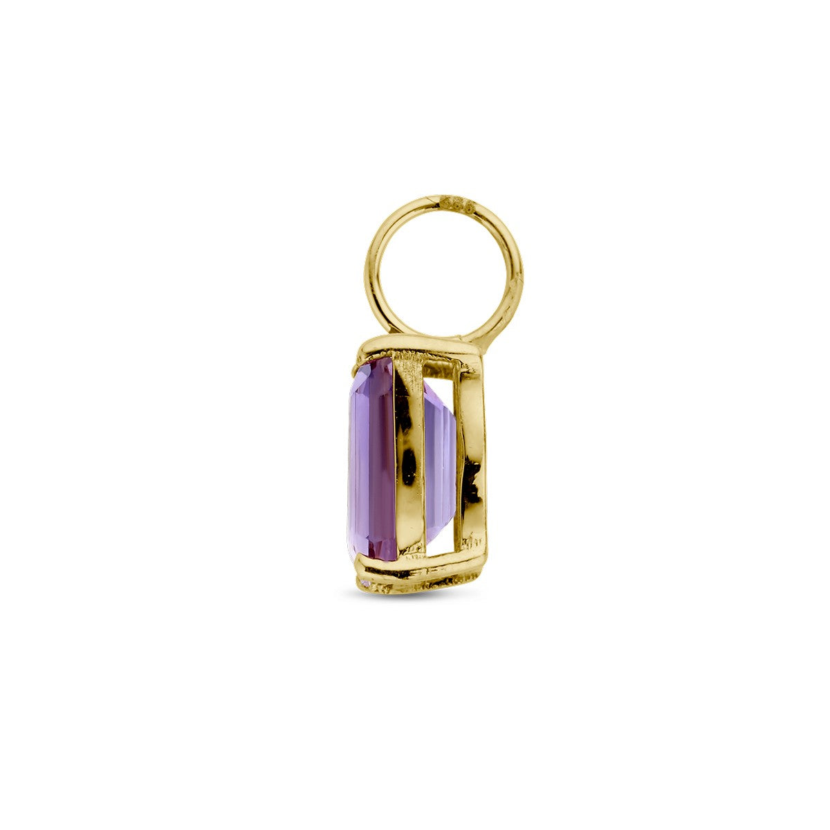 Fantasy Collection Hanger amethist 14K geelgoud