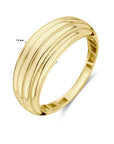 14K Geelgouden ring - 4029017 - PansiteNederland.nl