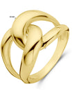 14K Geelgoud Ring Schakel 4029246 - PansiteNederland.nl