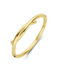 14K Geelgoud Ring 4029393 - PansiteNederland.nl