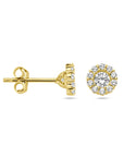 14K Geelgoud Oorknoppen Zirkonia Halo 4029831 - PansiteNederland.nl