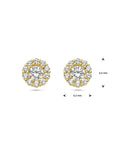 14K Geelgoud Oorknoppen Zirkonia Halo 4029831 - PansiteNederland.nl