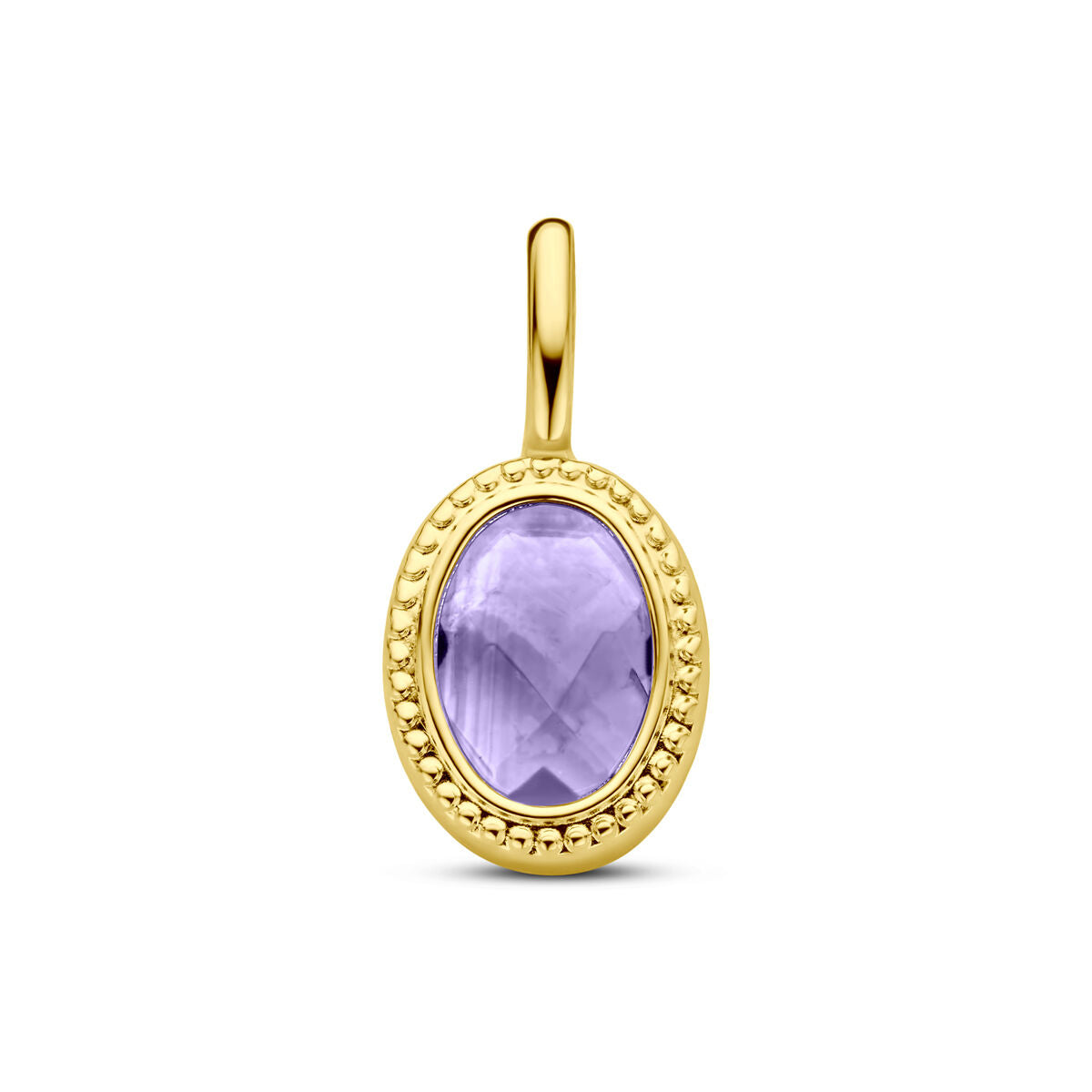 Fantasy Collection Hanger amethist 14K geelgoud