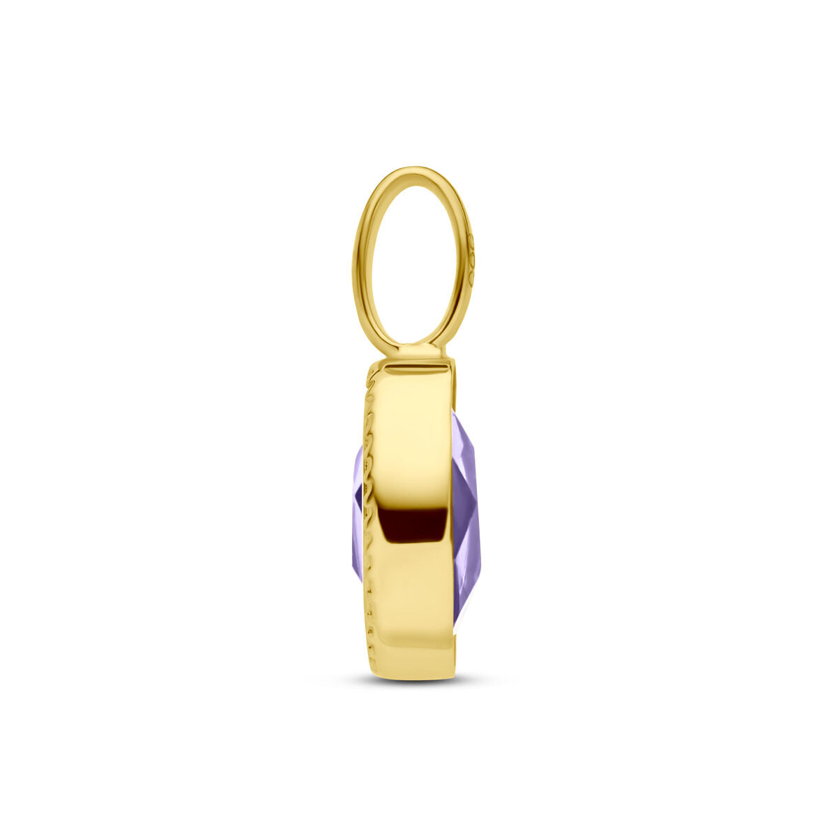 Fantasy Collection Hanger amethist 14K geelgoud