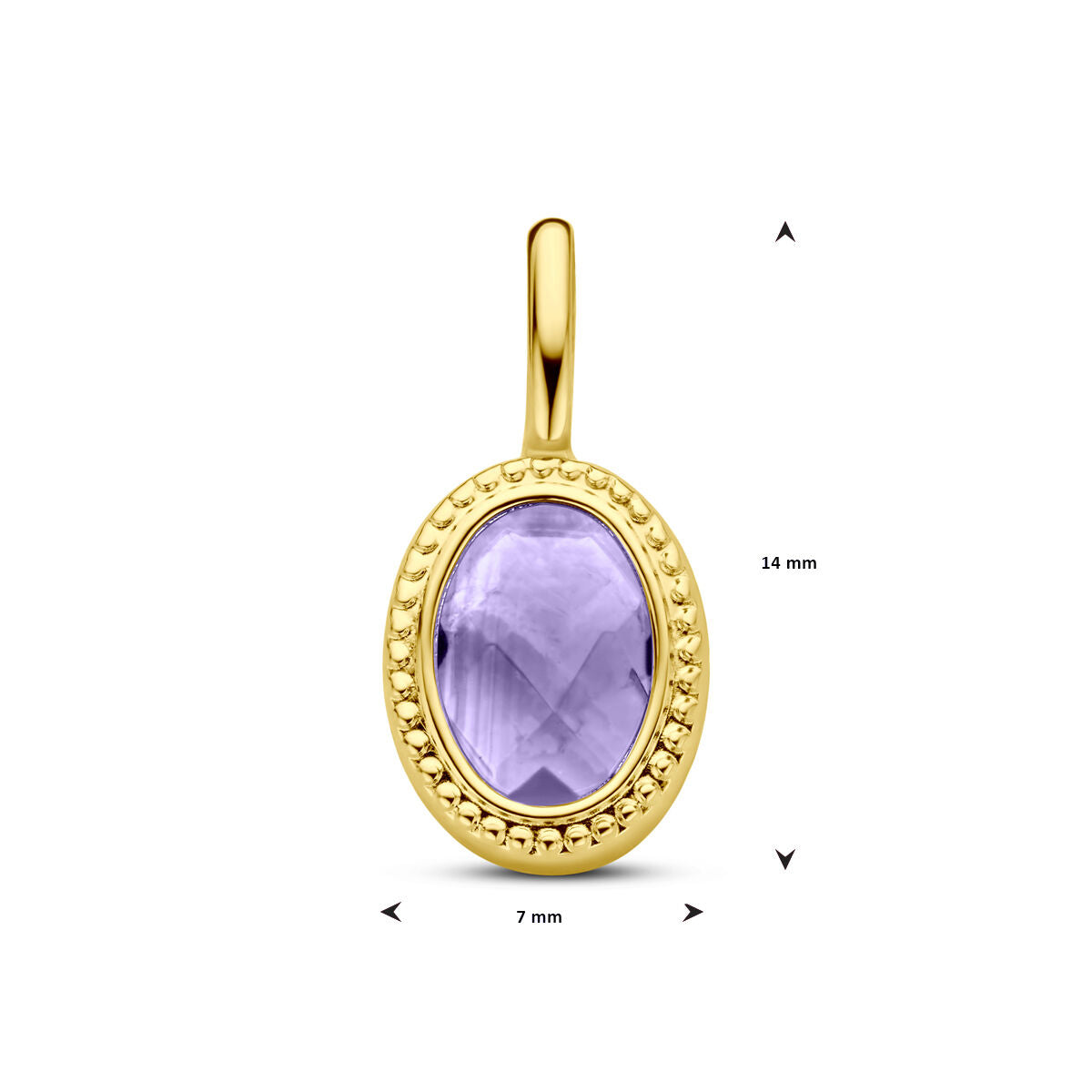 Fantasy Collection Hanger amethist 14K geelgoud