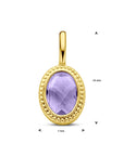 14K geelgoud hanger amethist 4031240 - PansiteNederland.nl