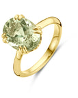 14K Geelgoud Ring Groen Amethist 4031870 - PansiteNederland.nl