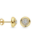 14K geelgoud oorknoppen lab grown diamant 0.75ct (2x 0.375ct) h si - 4032003 - PansiteNederland.nl
