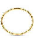 14K Geelgoud Bangle Scharnier Ronde Buis 4,0 Mm 60 Mm 4032108 - PansiteNederland.nl