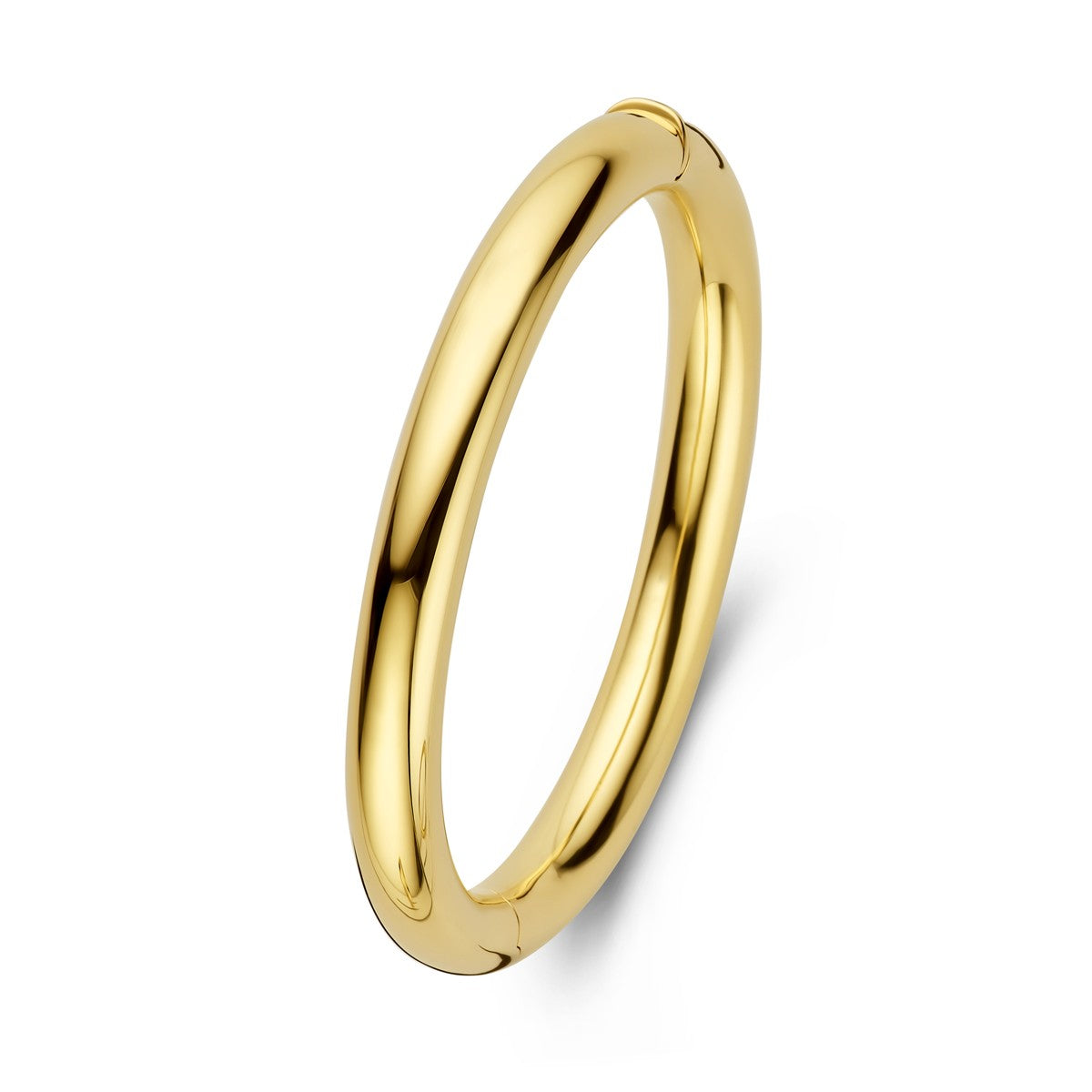 Fantasy Collection Bangle scharnier ronde buis 8 x 60 mm 14K geelgoud