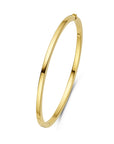 14K Geelgoud Bangle Scharnier Vlakke Buis 3,0 X 60 Mm 4032110 - PansiteNederland.nl