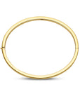 14K Geelgoud Bangle Scharnier Vlakke Buis 3,0 X 60 Mm 4032110 - PansiteNederland.nl