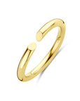 14K Geelgoud Ring 4032499 - PansiteNederland.nl