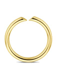 14K Geelgoud Ring 4032499 - PansiteNederland.nl