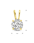 14K geelgoud hanger zirkonia 4032526 - PansiteNederland.nl