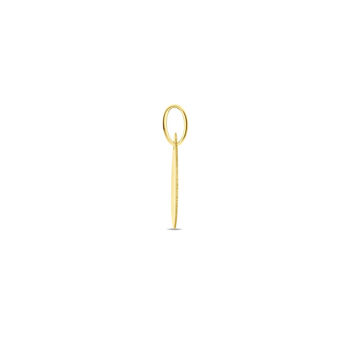 Fantasy Collection Graveerhanger 19 mm 14K geelgoud