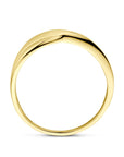 14K Geelgoud Ring 4032796 - PansiteNederland.nl