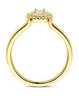 14K Geelgoud Ring Diamant 0.36Ct H Si 4032843 - PansiteNederland.nl