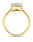 14K Geelgoud Ring Groen Amethist 4032852 - PansiteNederland.nl