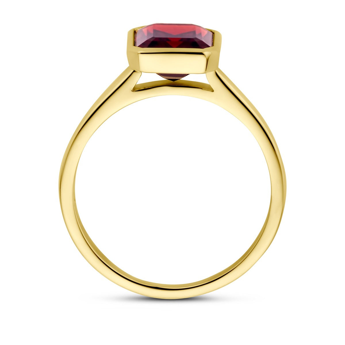 Fantasy Collection Ring granaat 14K geelgoud