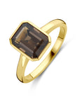 14K Geelgoud Ring Rookkwarts 4032866 - PansiteNederland.nl