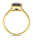 14K Geelgoud Ring Rookkwarts 4032866 - PansiteNederland.nl