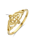 14K Geelgoud Ring 4032891 - PansiteNederland.nl