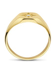 14K Geelgoud Ring Met Zirkonia 4032901 - PansiteNederland.nl