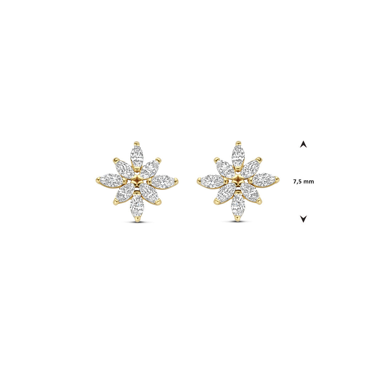 Fantasy Collection Oorbellen zirkonia 14K geelgoud