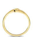 14K Geelgoud Ring 4032976 - PansiteNederland.nl