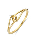 14K Geelgoud Ring 4032976 - PansiteNederland.nl
