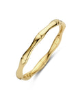 14K Geelgoud Ring 4032980 - PansiteNederland.nl