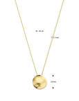 14K geelgoud collier 41 - 45 cm - 4033022 - PansiteNederland.nl