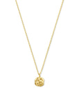 14K geelgoud collier roos 41 - 45 cm 4033023 - PansiteNederland.nl