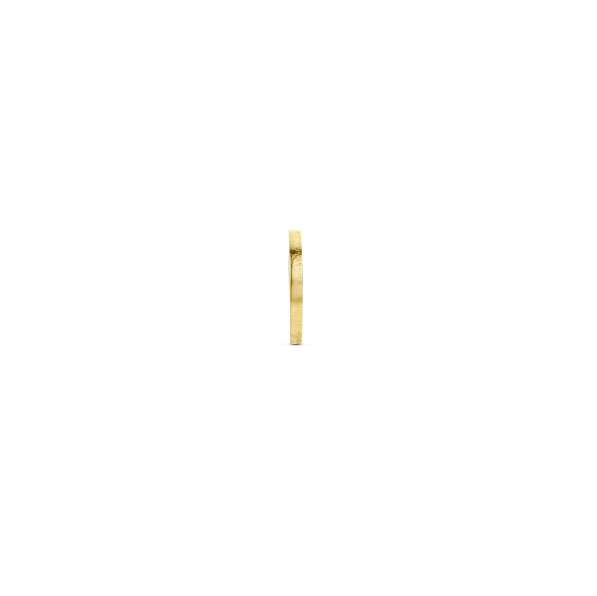 Fantasy Collection Hanger hartje 7 mm 14K geelgoud