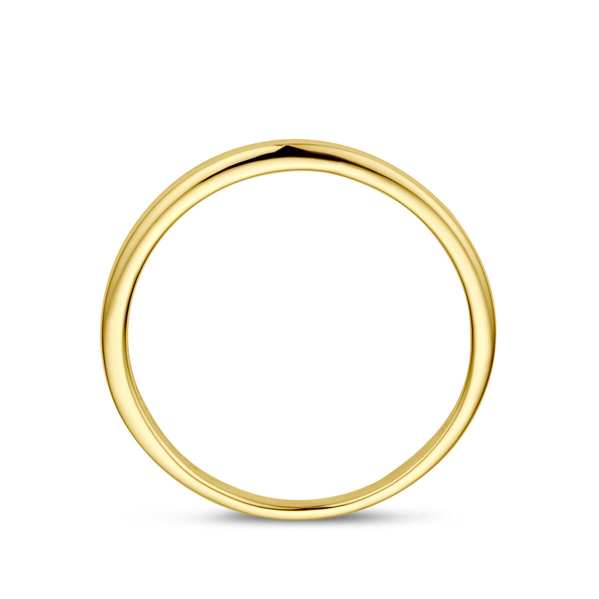 Fantasy Collection Ring 14K geelgoud