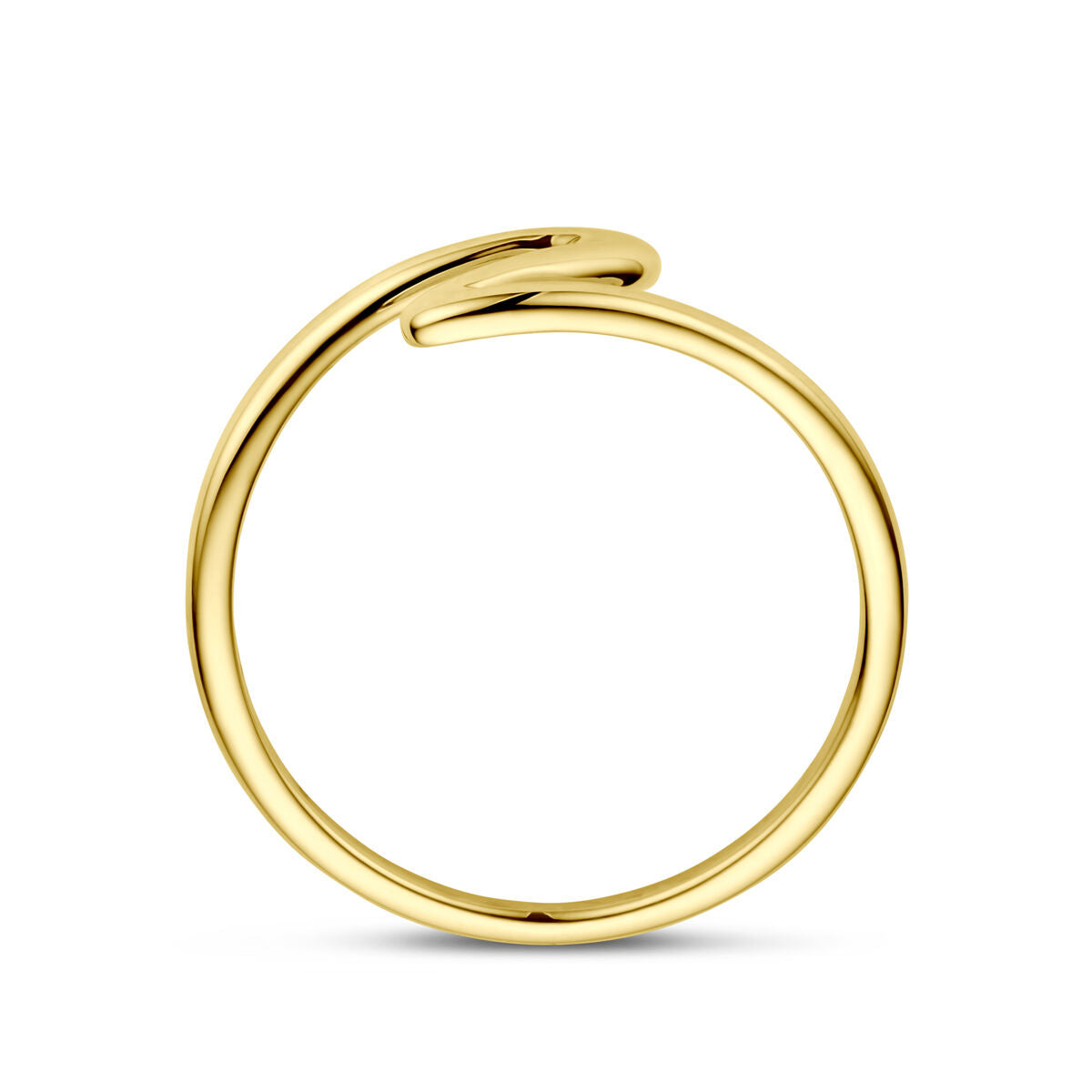 Fantasy Collection Ring 14K geelgoud