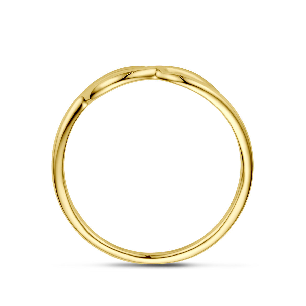 Fantasy Collection Ring infinity 14K geelgoud