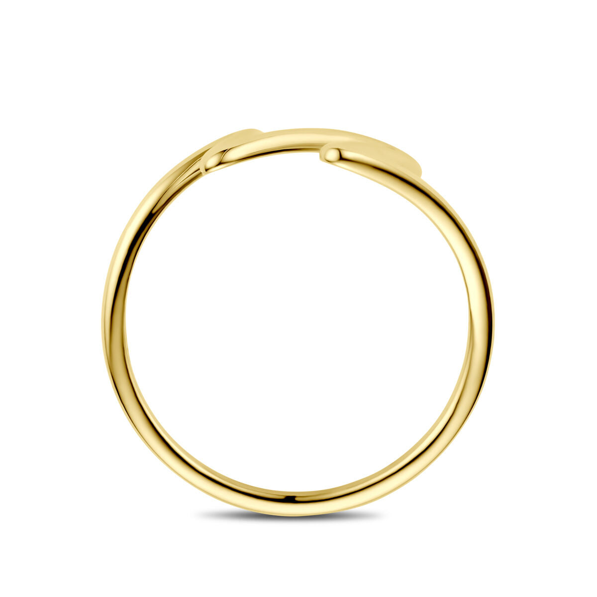 Fantasy Collection Ring 14K geelgoud