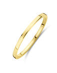 14K geelgoud ring - 4033378 - PansiteNederland.nl