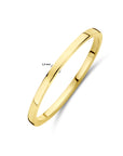 14K geelgoud ring - 4033378 - PansiteNederland.nl