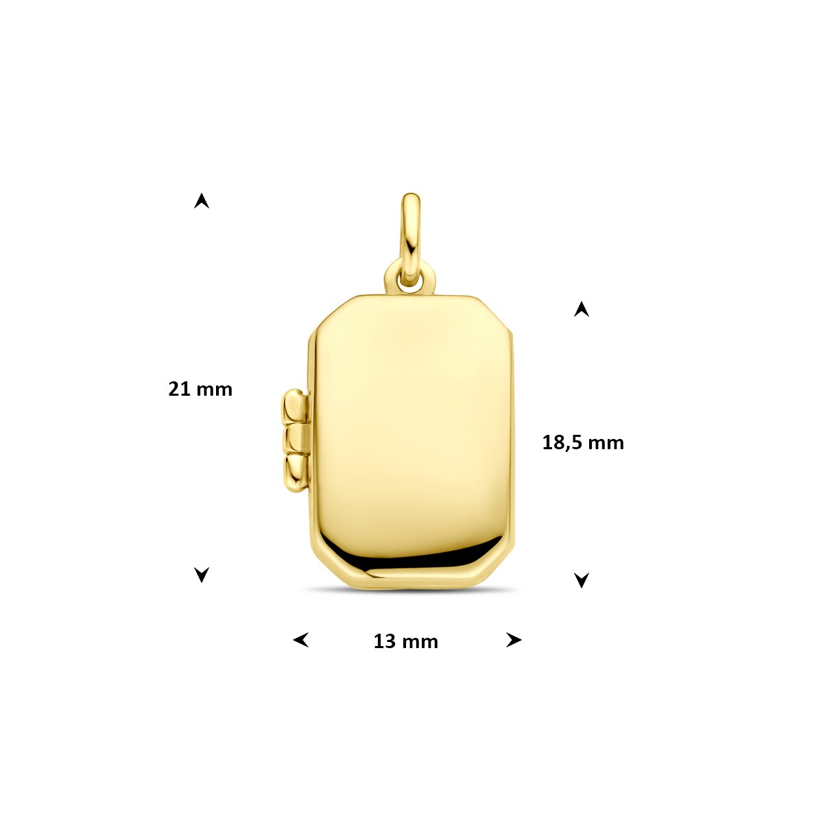 Medaillon 18,5 mm 14K geelgoud