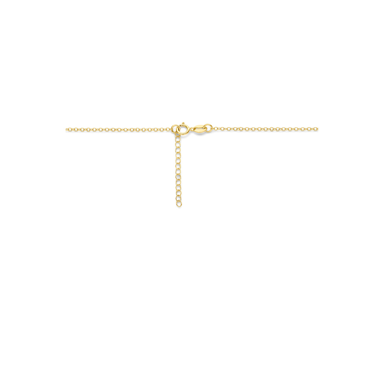 Fantasy Collection Collier 14K geelgoud 42 + 3 cm - afbeelding 3