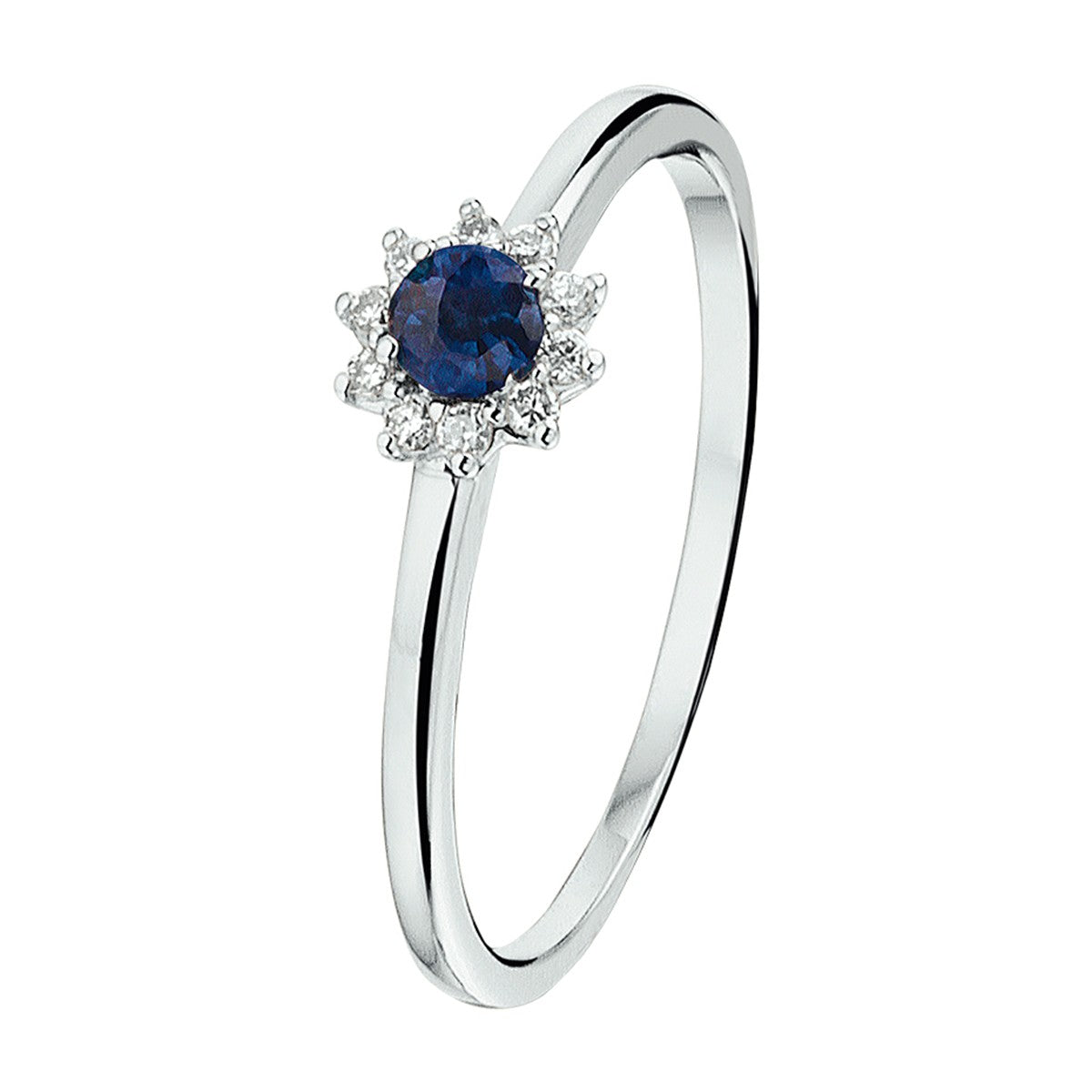 Fantasy Collection Ring saffier en diamant 0.07ct h p1 halo 14K witgoud