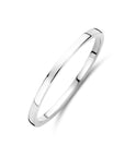 14K witgoud ring - 4106420 - PansiteNederland.nl