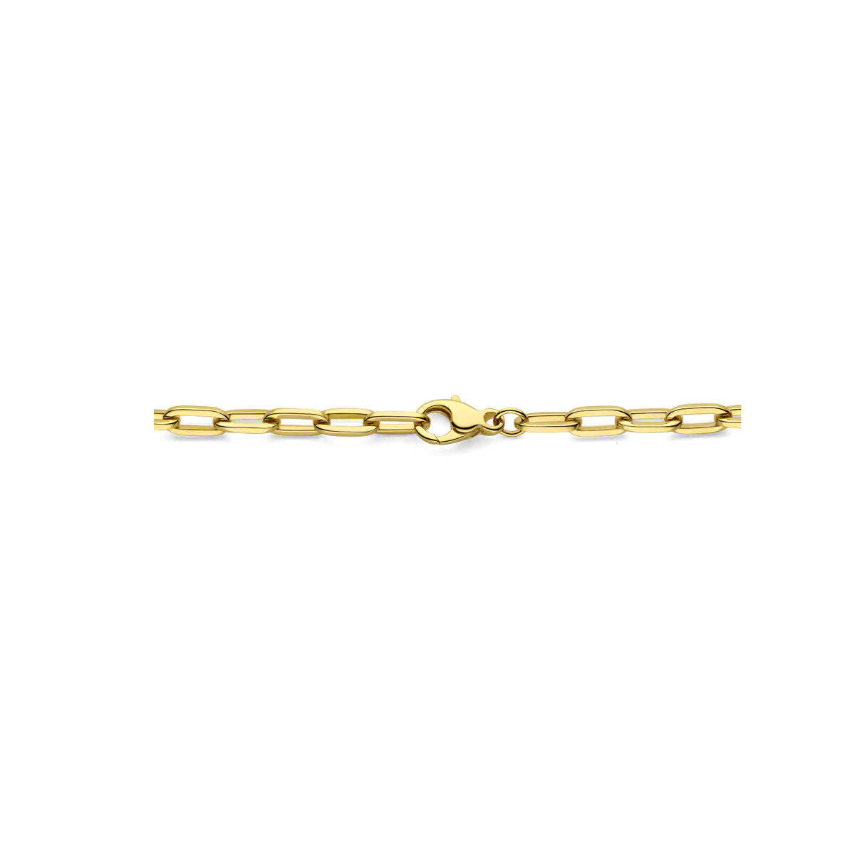 Fantasy Collection Collier anker 4,7 mm 14K geelgoud