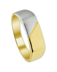 14K Bicolor Geel- En Witgoud Geel/Wit Ring Poli/Mat 4206210 - PansiteNederland.nl