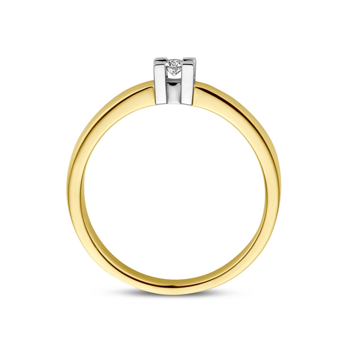 Fantasy Collection Ring diamant 0.05ct h si 14K bicolor goud